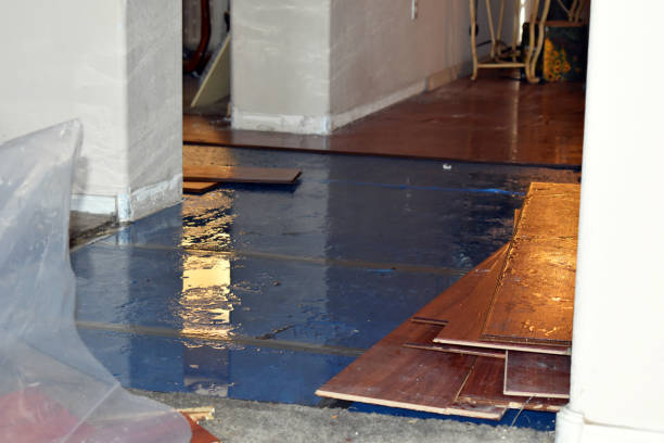 Professional Water Damage Restoration technician working in Weir, TX